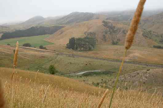 036vers Kaikoura.JPG (reduit)